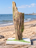 Lakeshore Whimsy