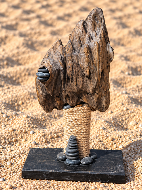 Beachcomber